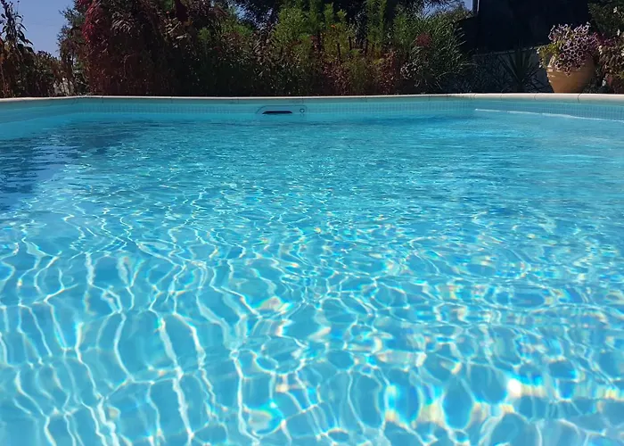 Ponderosa
